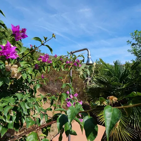 Panorama Ii By Interhome Σπίτι διακοπών Capoliveri (Isola d'Elba)
